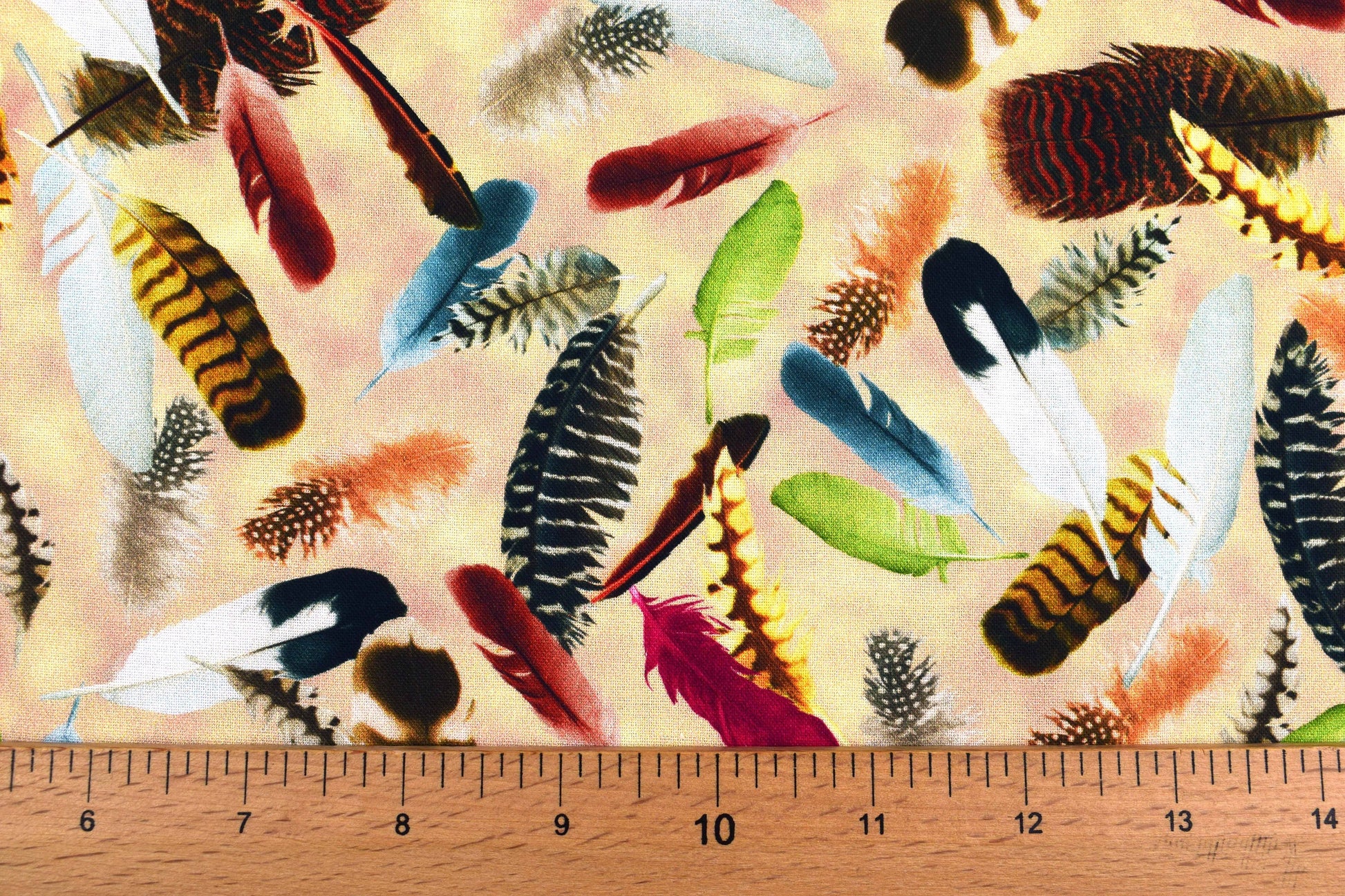 Feathers fabric, bird feathers, Quilting fabric, cotton fabric, Hummingbird Garden - Price by the Half Metre The Quilt Sanctuary