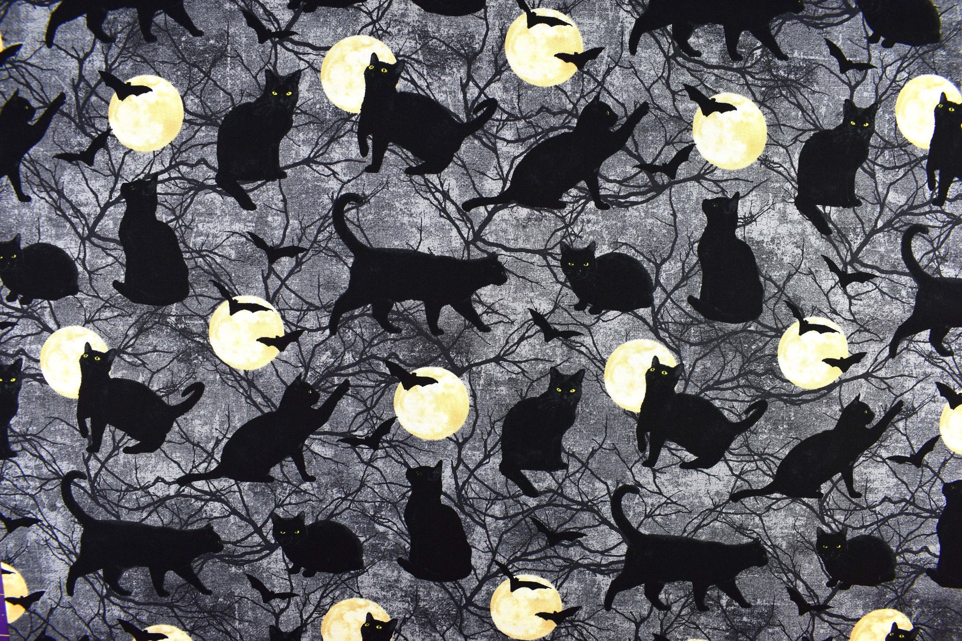 Black cat fabric, Halloween fabric, Gothic horror fabric, Quilting fabric, cotton fabric, Black Cat Capers - Price per half Metre The Quilt Sanctuary