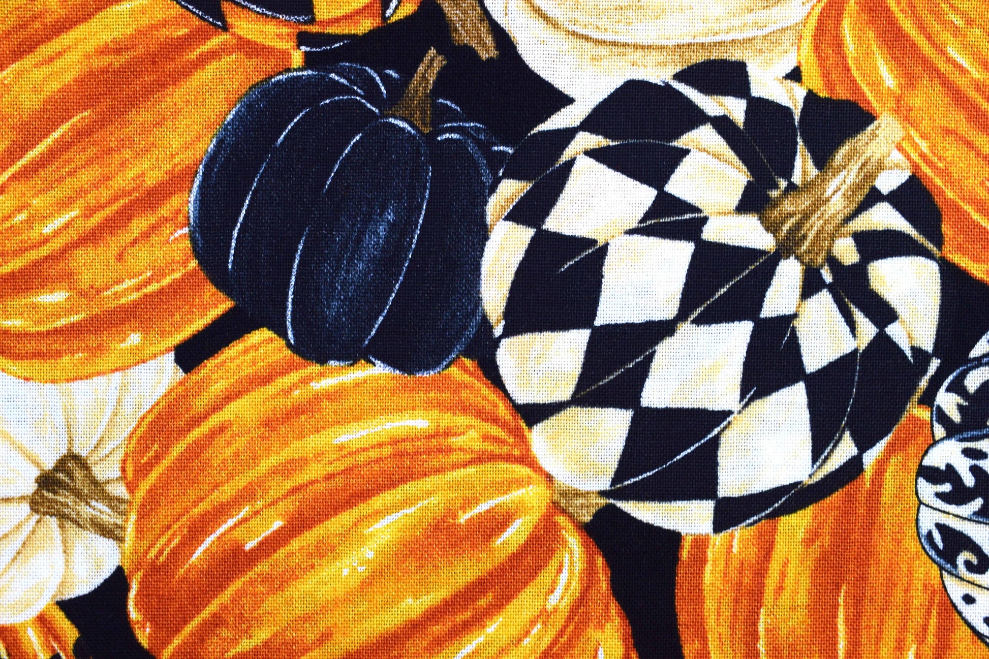 Pumpkin fabric, Harvest festival, Quilting fabric, cotton fabric, Black Cat Capers - Price per half Metre The Quilt Sanctuary