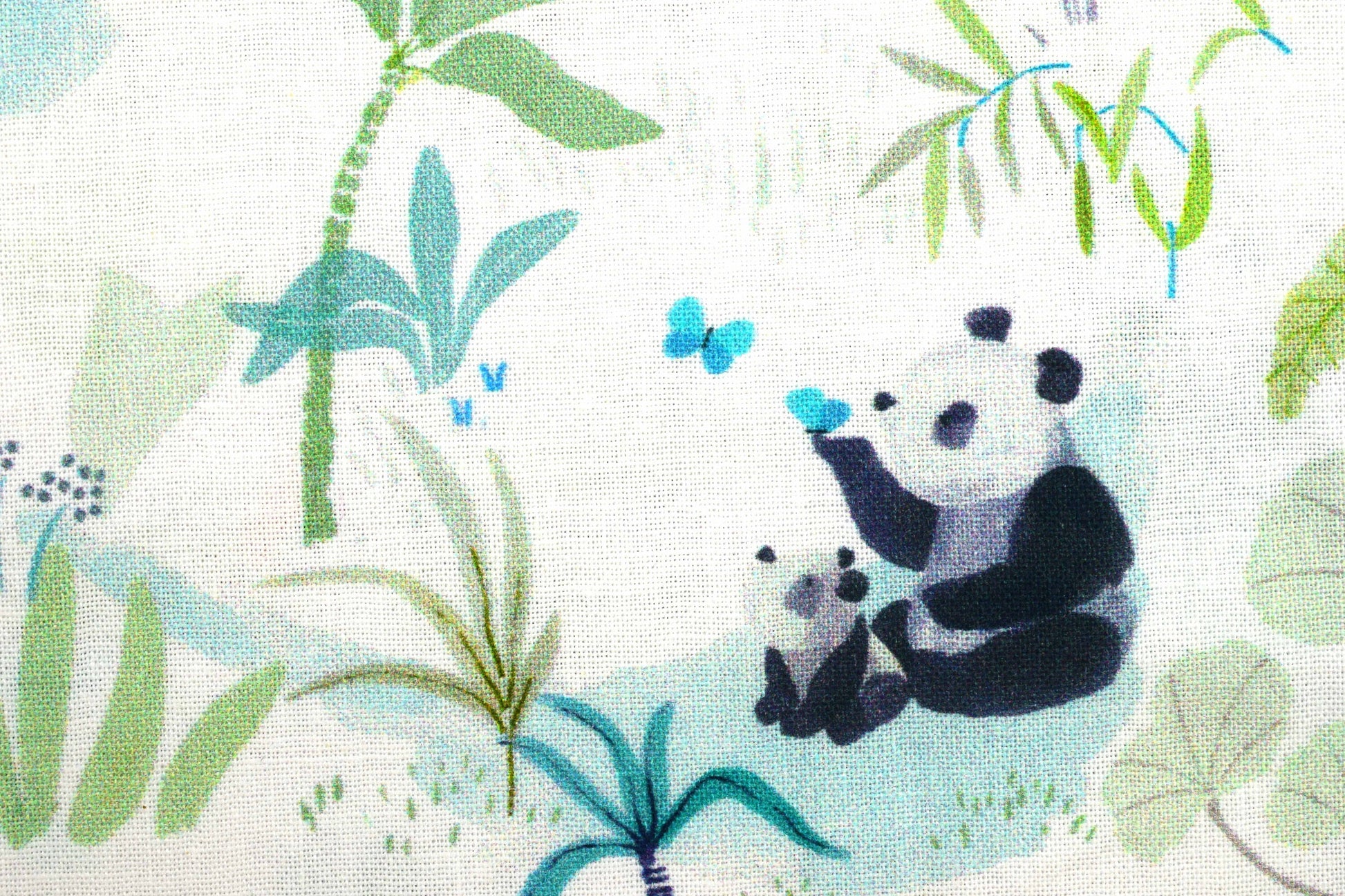 Panda fabric, Quilting fabric, cotton fabric, Giant pandas, dear Stella - Price by the Half Metre The Quilt Sanctuary