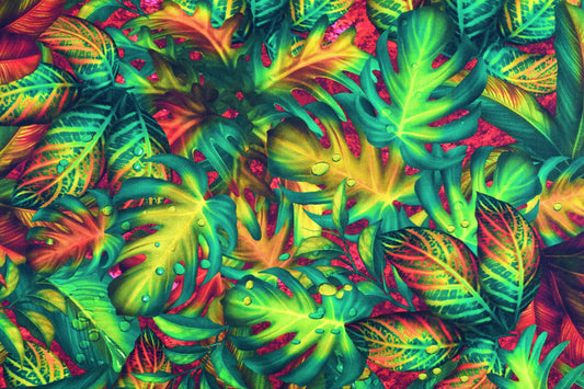 Rain forest fabric, Quilting fabric, cotton fabric, tropical foliage fabric, Price by the Half Metre The Quilt Sanctuary