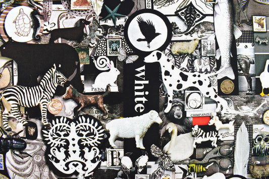 black and White quilting fabric, Color Collage, black and white images, cotton fabric Price by the Half Metre The Quilt Sanctuary