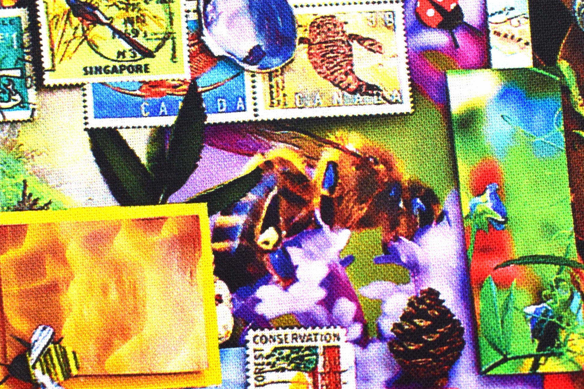 Earth collage quilting fabric, multi coloured collage board, cotton fabric Price by the Half Metre The Quilt Sanctuary